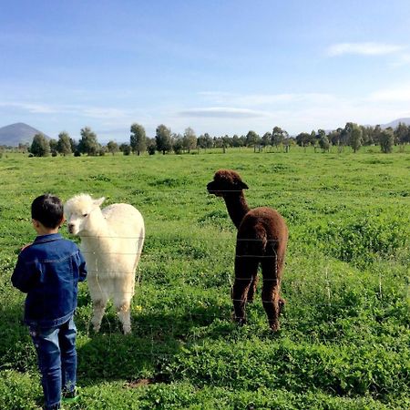 Taras Richmond Farmstay Campania Ngoại thất bức ảnh