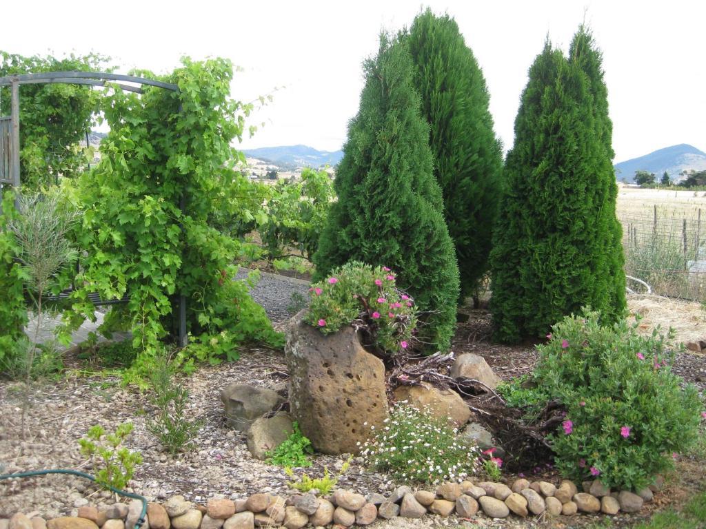 Taras Richmond Farmstay Campania Ngoại thất bức ảnh