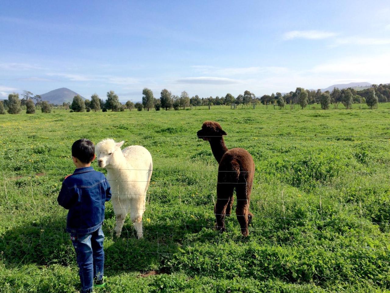 Taras Richmond Farmstay Campania Ngoại thất bức ảnh